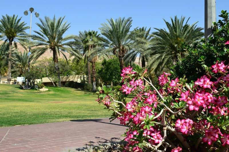 כפר נופש קלי"ה ים המלח Hotel Kalia Eksteriør billede
