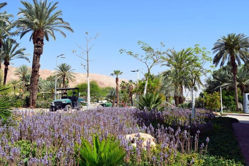 כפר נופש קלי"ה ים המלח Hotel Kalia Eksteriør billede
